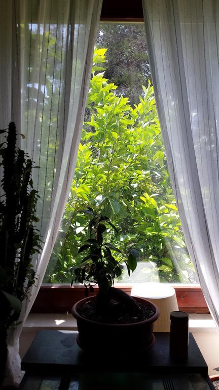 Guesthouse Aria โตรกีร์ ภายนอก รูปภาพ